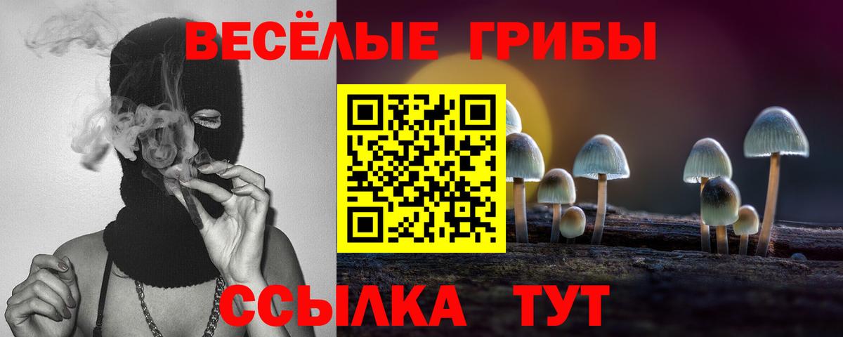 Магнитогорск  Псилоцибиновые грибы GOLDEN TEACHER  Вход с VPN 